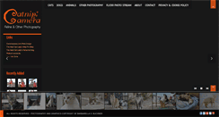 Desktop Screenshot of catnipcamera.com